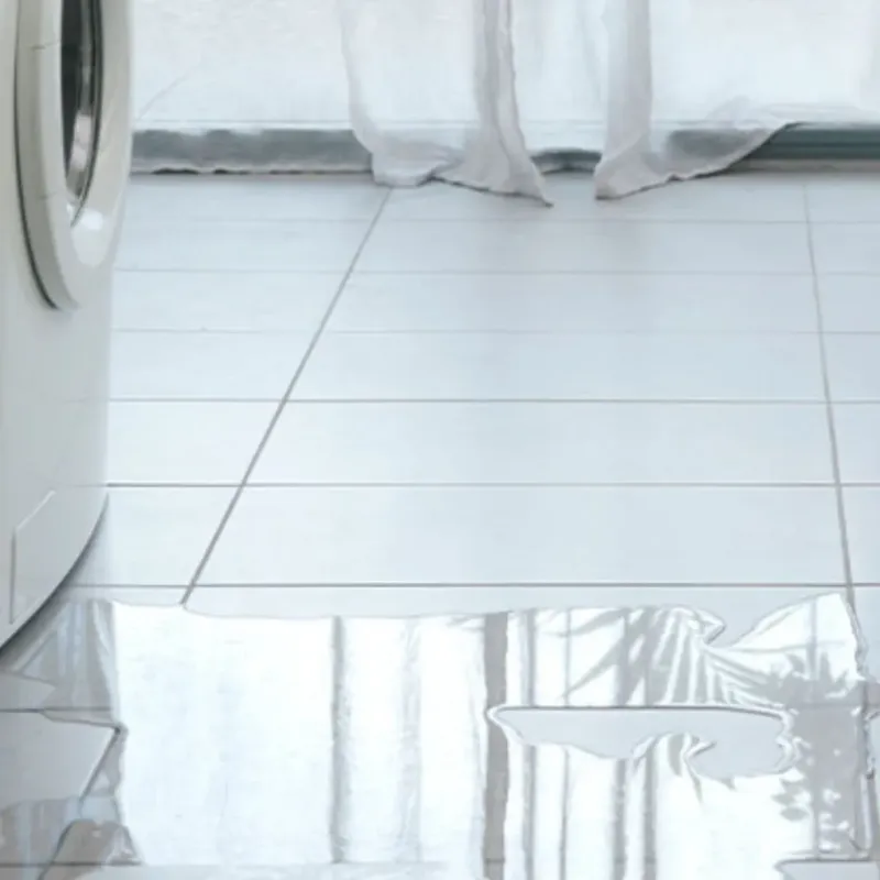 Appliance Leak Cleanup in Macon County, IL