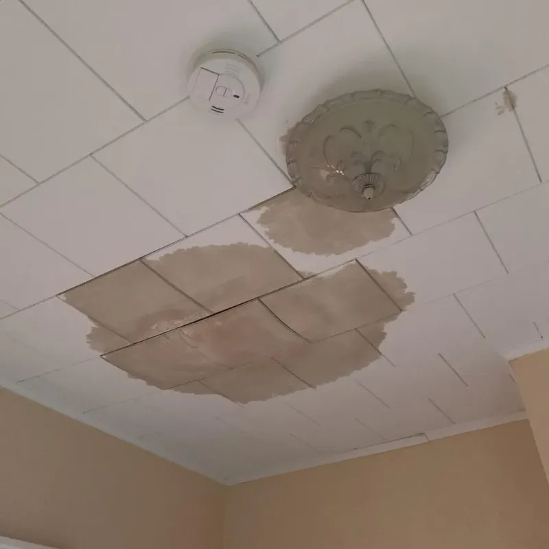 Ceiling Water Damage Repair in Macon County, IL