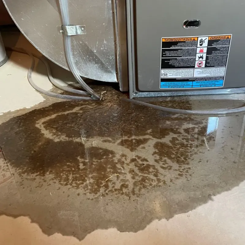 Pipe Burst and Leak Restoration in Macon County, IL