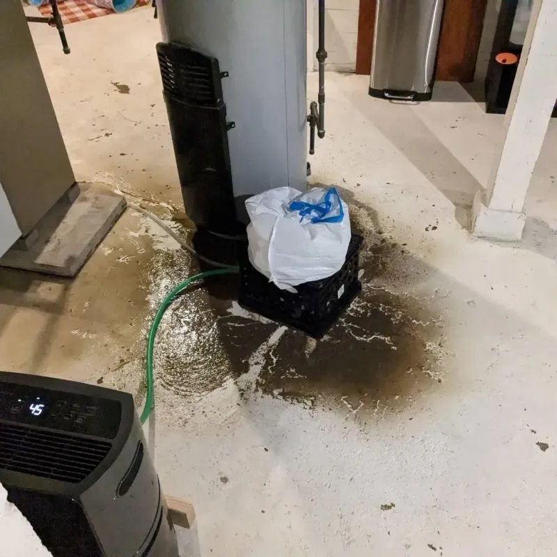 Sewage Backup Cleanup Service in Macon County, IL